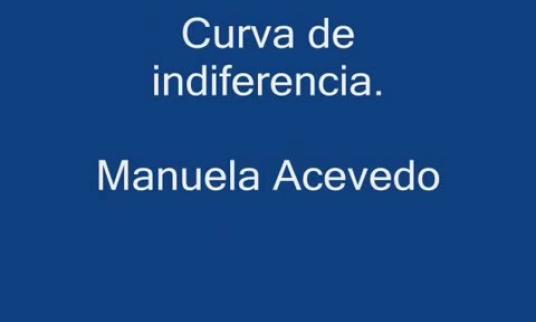 Embedded thumbnail for Curvas de indiferencia