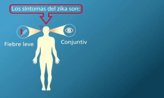 Embedded thumbnail for Infografía animada sobre la enfermedad del Virus Zika